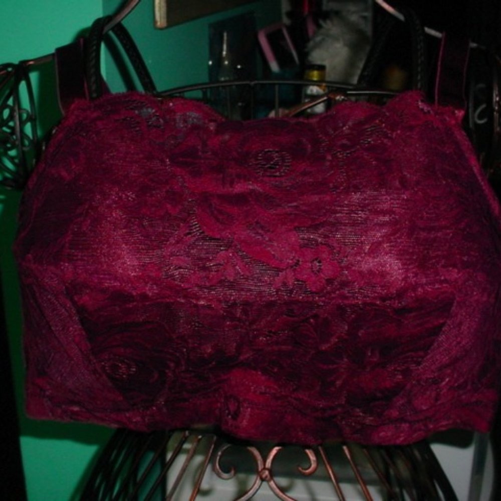 COMFORT CHOICE Plum Lace Bra 42B